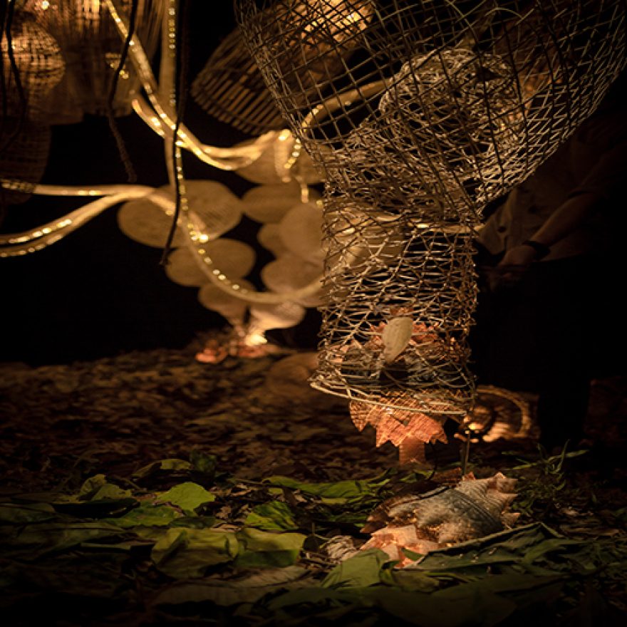 01-Forbidden-Fruits-Thumbnail-Edited